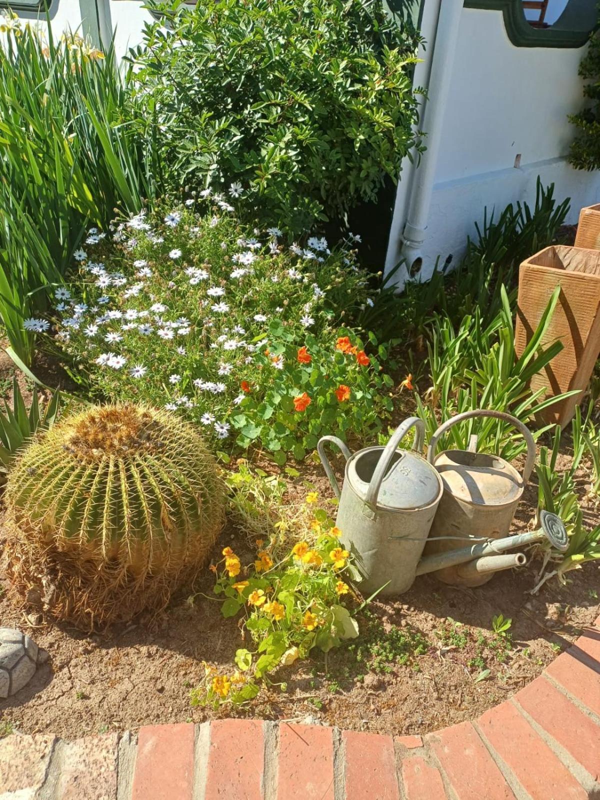 Bed and Breakfast De Oude Yotclub Oudtshoorn Zewnętrze zdjęcie
