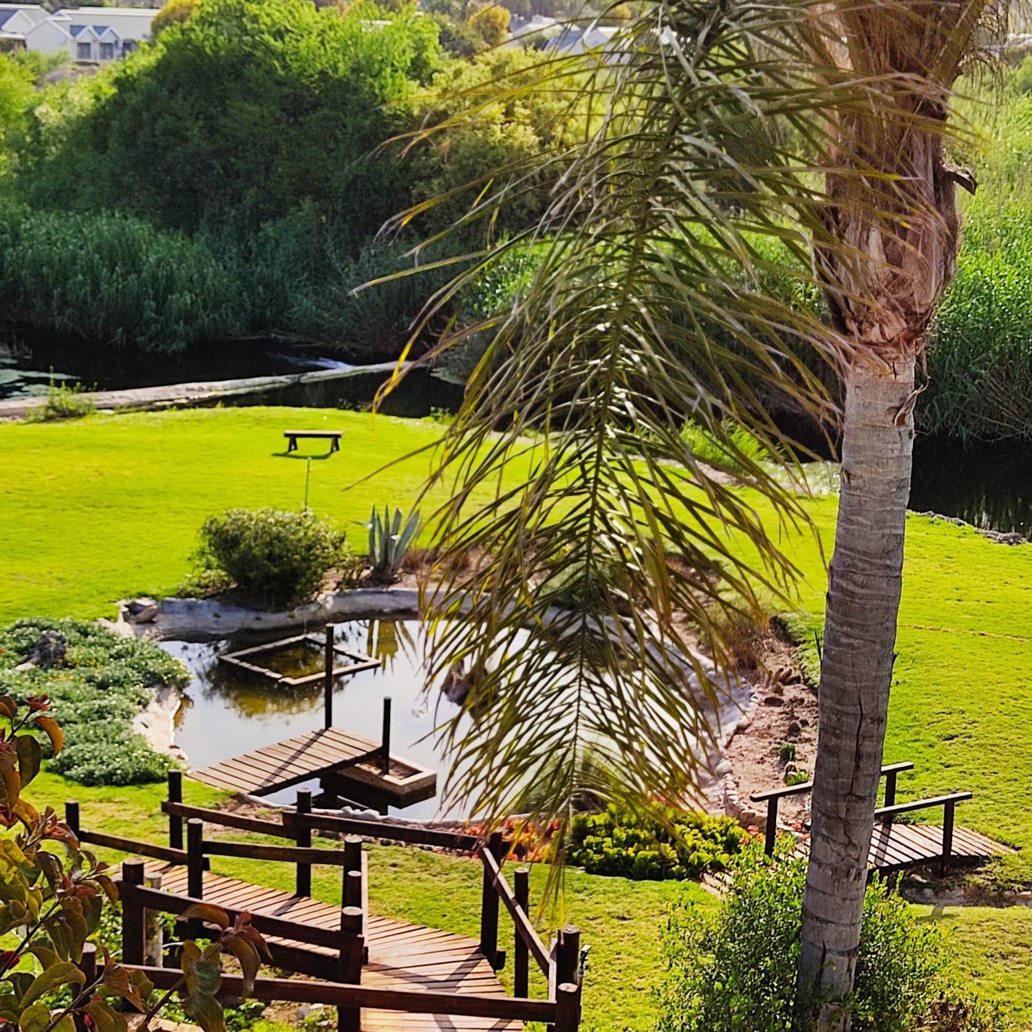 Bed and Breakfast De Oude Yotclub Oudtshoorn Zewnętrze zdjęcie