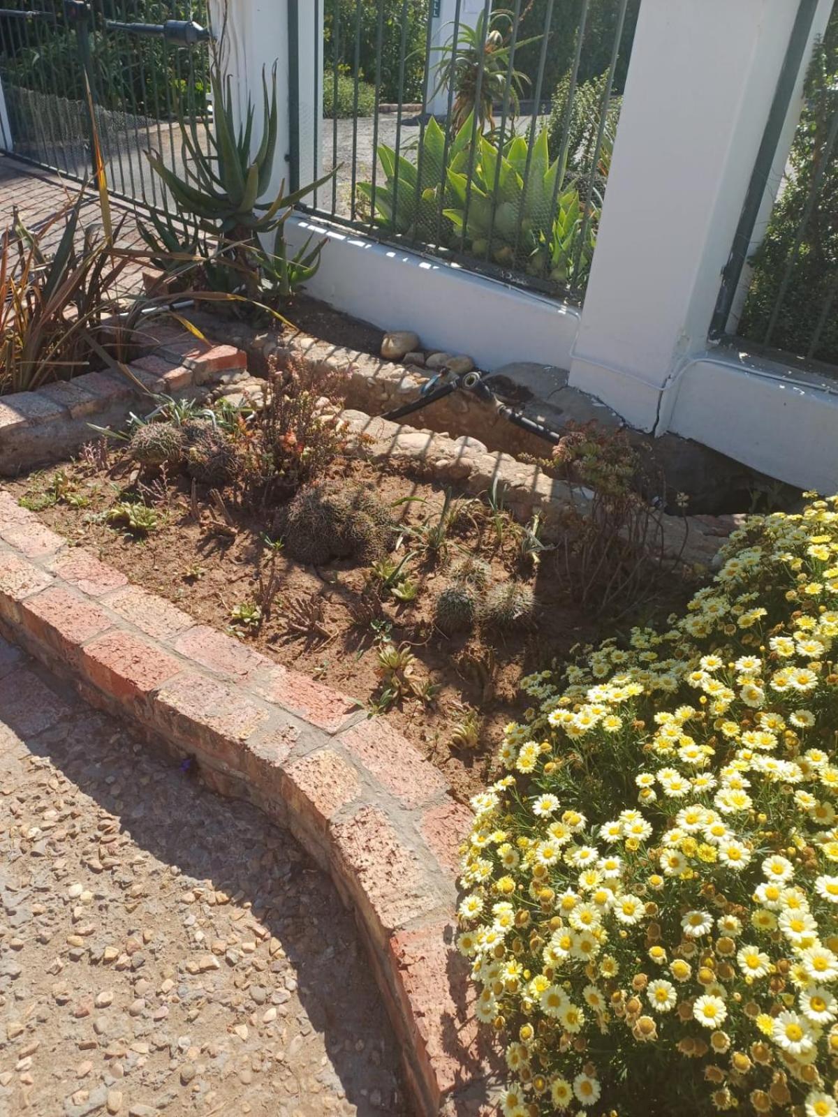 Bed and Breakfast De Oude Yotclub Oudtshoorn Zewnętrze zdjęcie